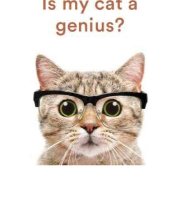 Book - Is My Cat A Genius?