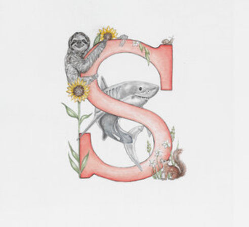 Kathryn Pow Alphabet Letter Greeting Cards