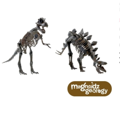 3D Dinosaur Skeletons